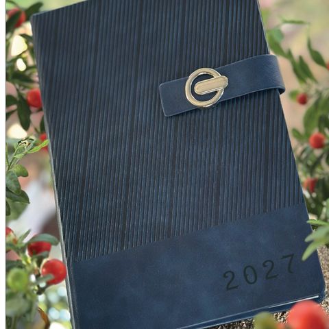 Agenda Essor, n° 19